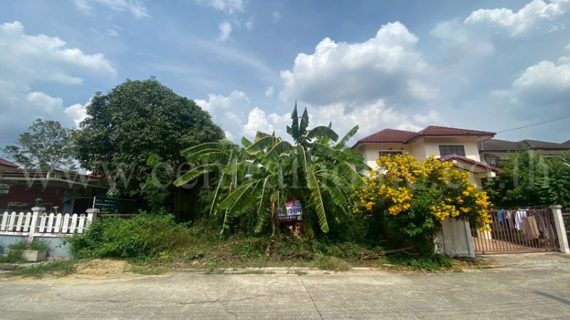 main-3