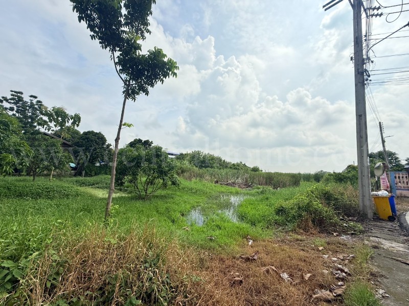 main-6