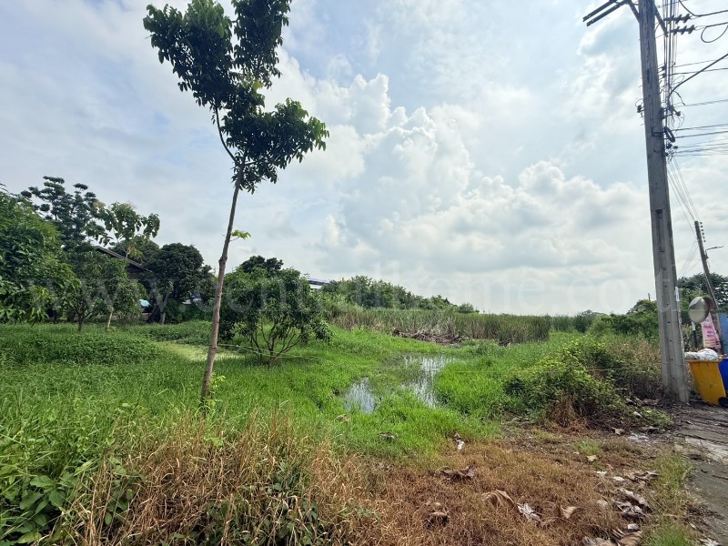 main-4