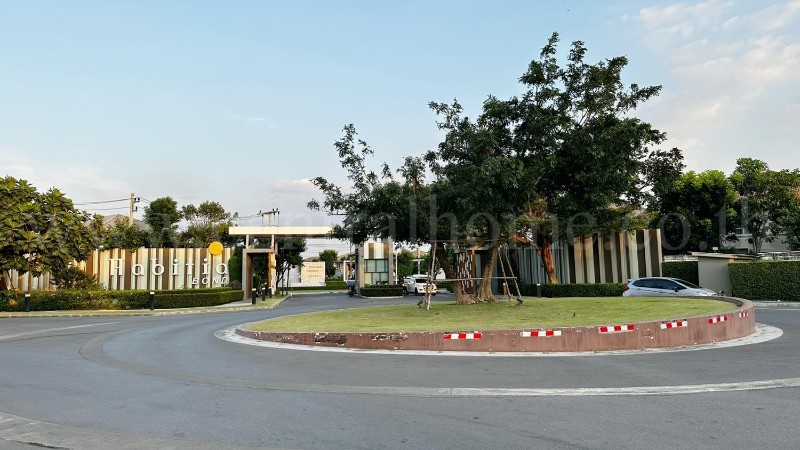 main-19