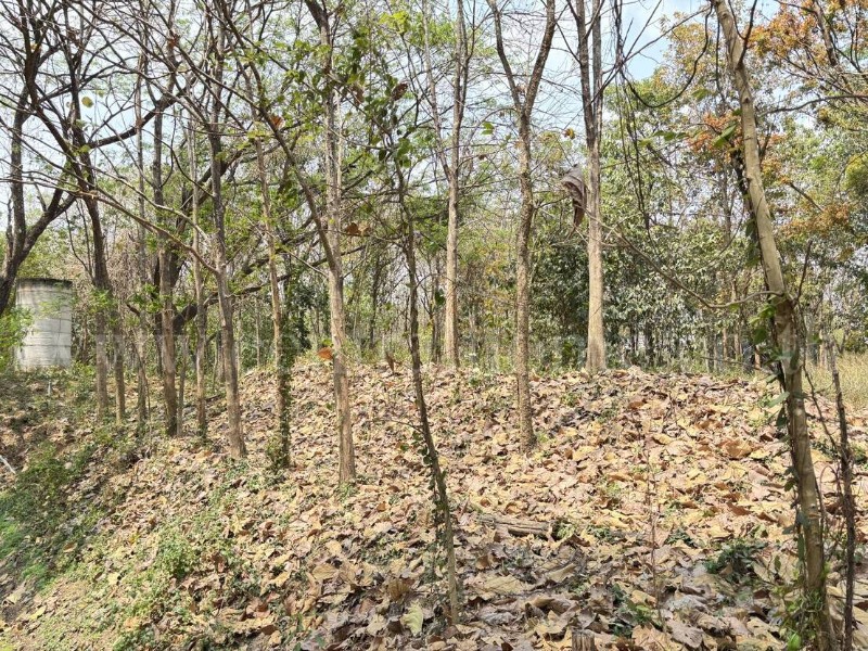 main-11