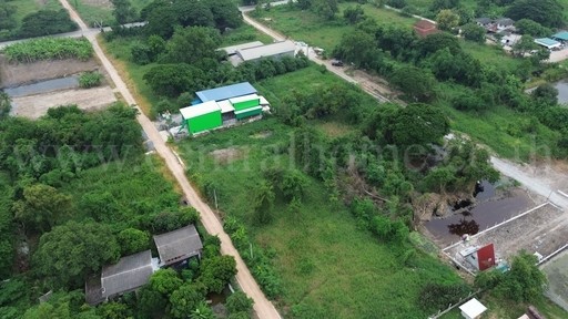 ที่ดิน 1 ไร่ ถมแล้ว บางใหญ่ ซอย เคหะการเกษตร 24