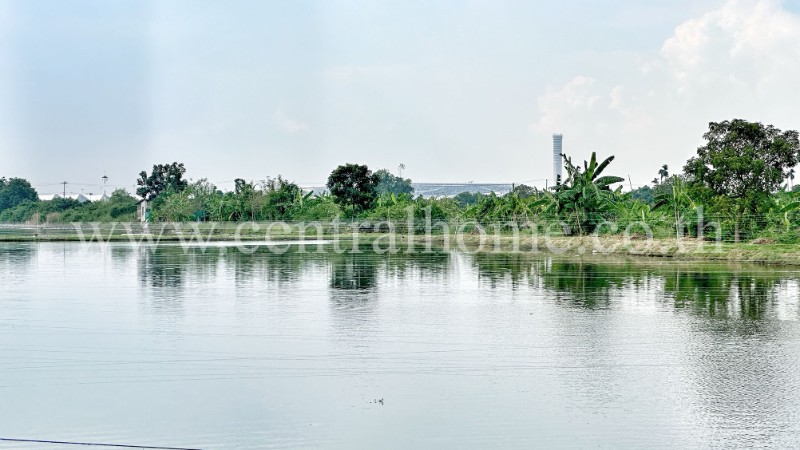 main-3