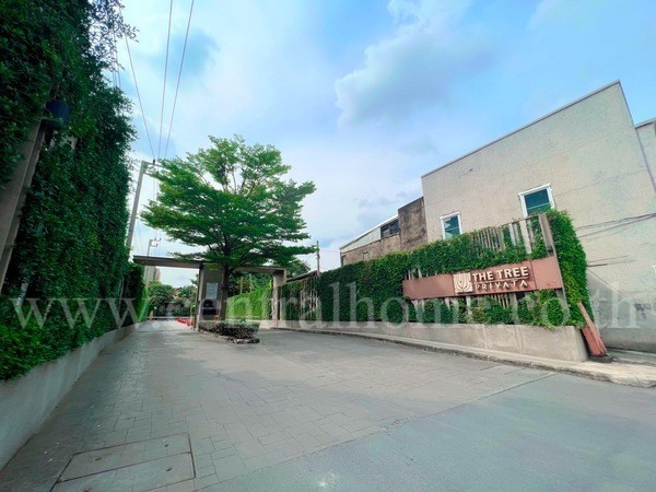 คอนโด THE TREE PRIVATA ( เดอะ ทรี พริวาต้า )