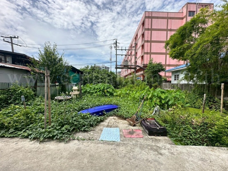 main-1