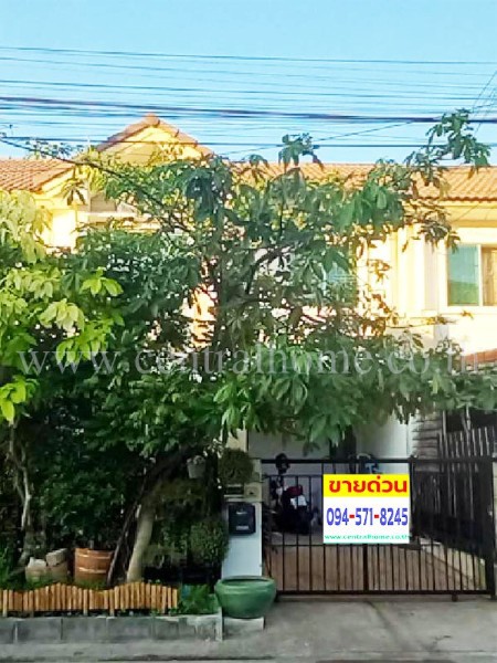 ทาวน์เฮ้าส์ หมู่บ้าน พฤกษาวิลล์ 24 หนามแดง ราคาถูก