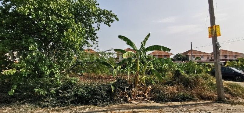 main-2