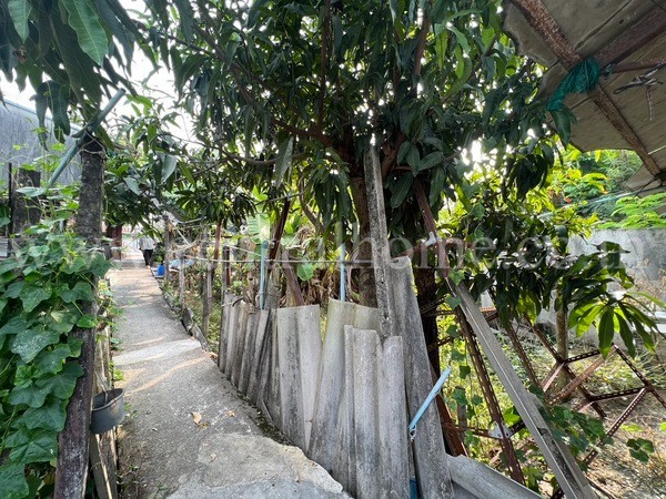 main-5
