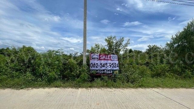 main-6