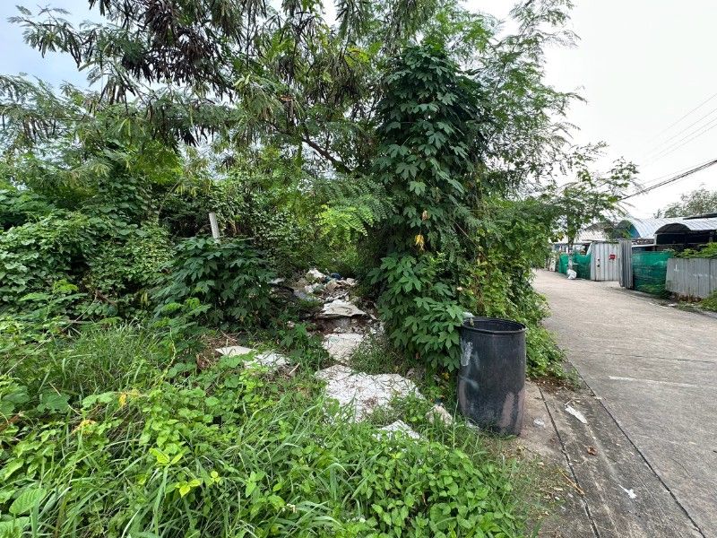 main-8