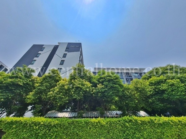 main-1